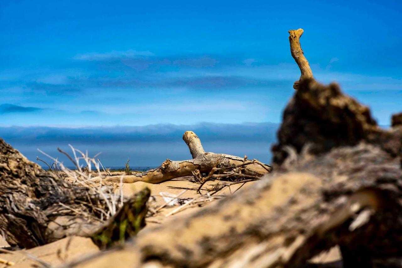Shipwreck Lodge Mowebaai 外观 照片